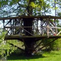 Baumhaus - Mehr als nur ein Song